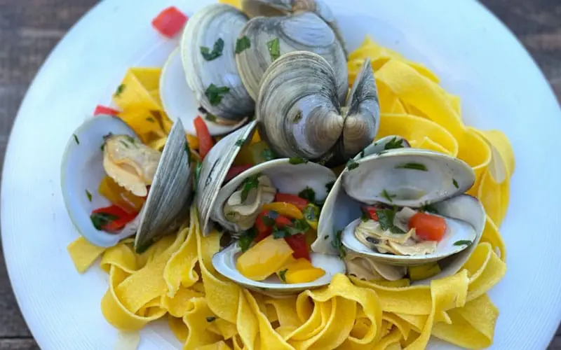 LITTLE NECK CLAMS