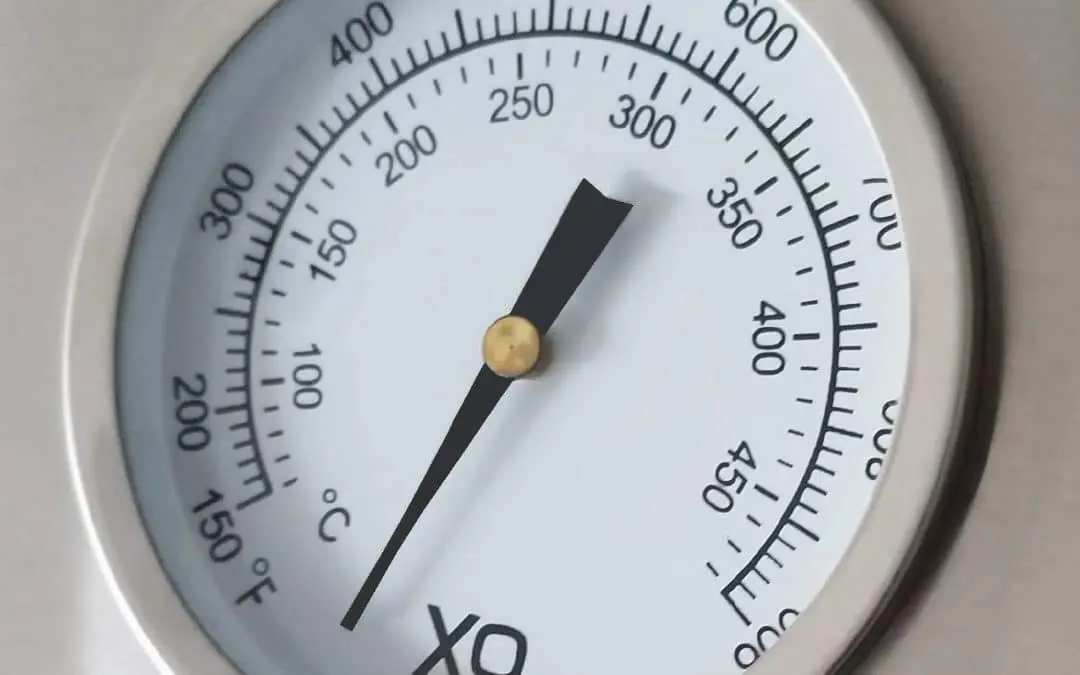 Pre-Heated Grill Guide: Maximize Your Grill – XO Appliance