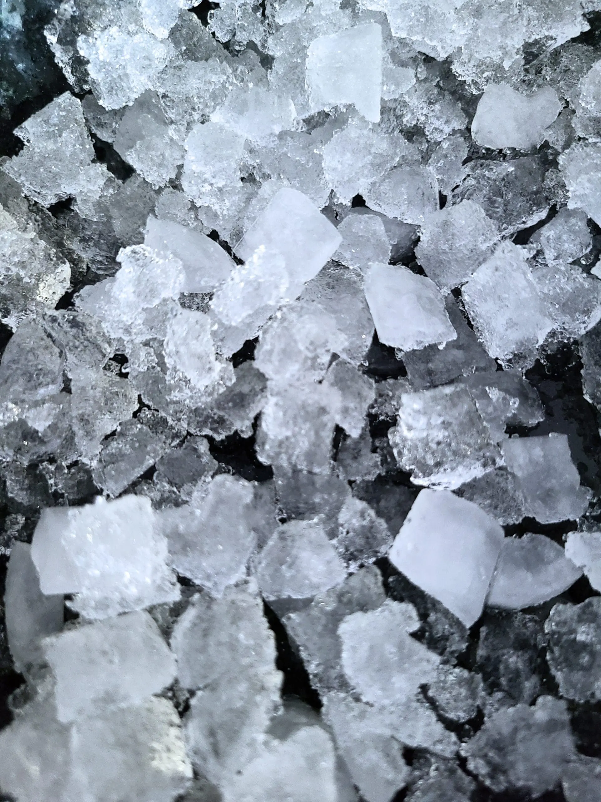 XOUIM1585 image 2